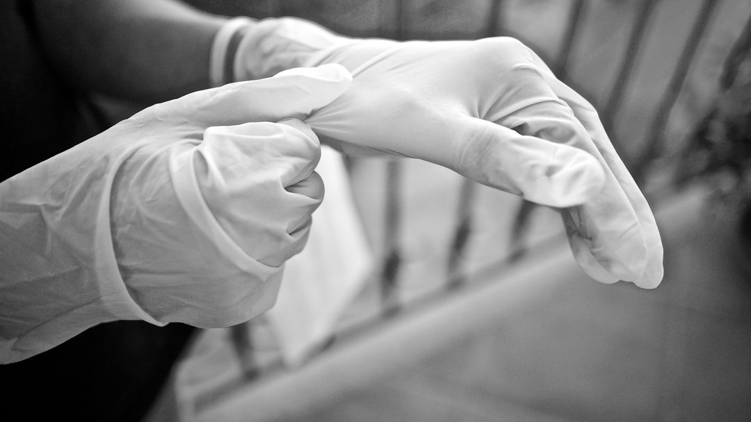 Persona colocándose los guantes para evitar el contagio Persona colocándose los guantes para evitar el contagio