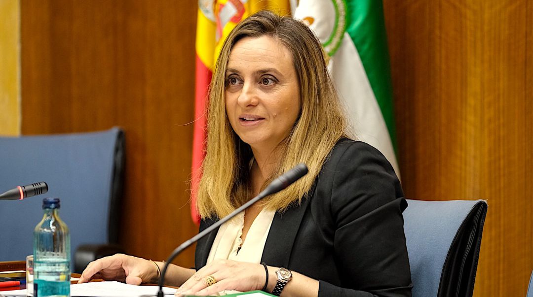 La Consejera de Fomento, Infraestructuras y Ordenación del Territorio, Marifran Carazo. La Consejera de Fomento, Infraestructuras y Ordenación del Territorio, Marifran Carazo.