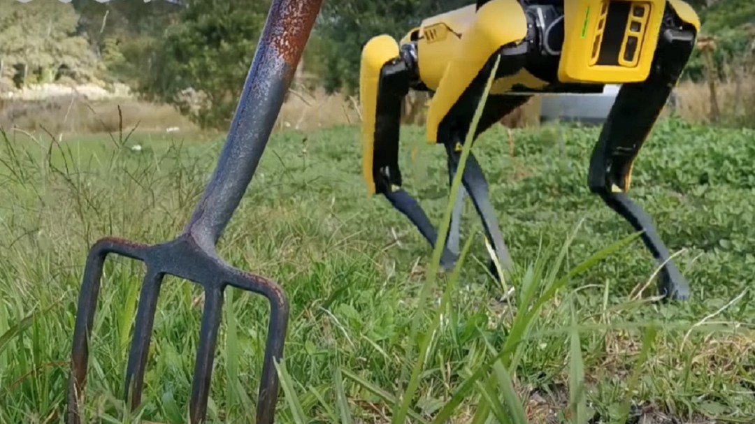 Los perros robóticos ya trabajan como pastores en una granja de Nueva Zelanda