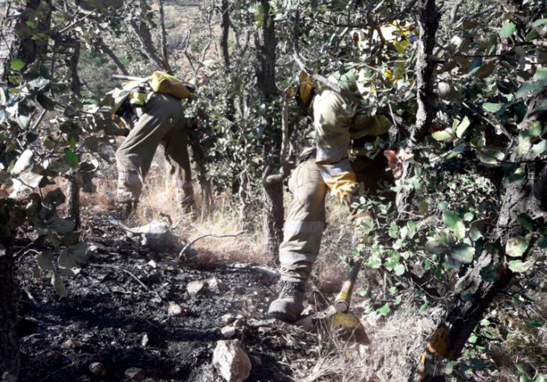 Dos bomberos forestales durante la extinción del incendio en Beneixama en julio de 2019. Dos bomberos forestales durante la extinción del incendio en Beneixama en julio de 2019.