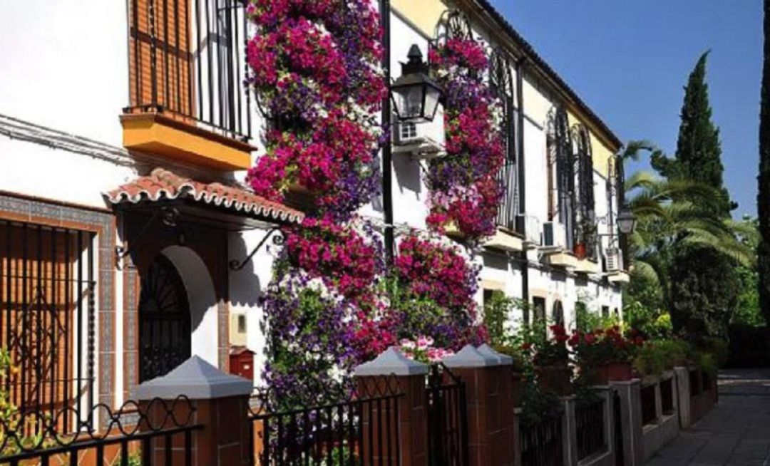 Rejas y balcones Rejas y balcones