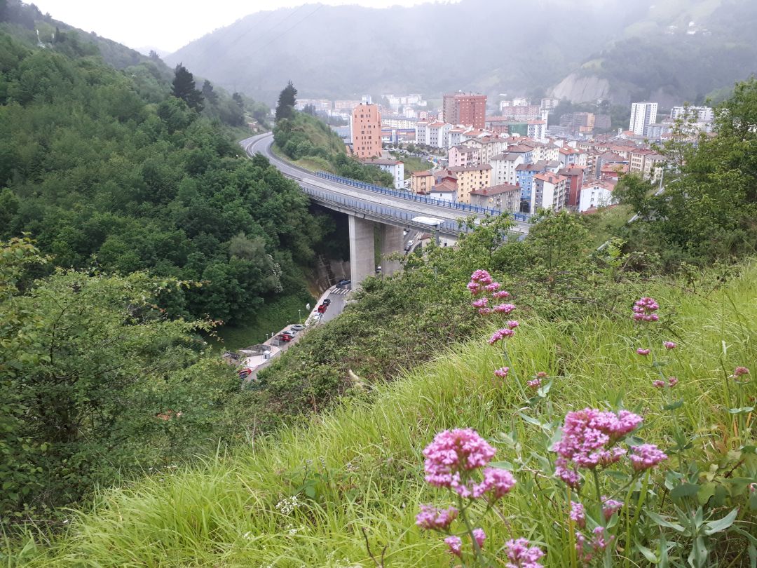 Eibar sigue siendo la población de Debabarrena con una mayor número de casos oficiales Eibar sigue siendo la población de Debabarrena con una mayor número de casos oficiales
