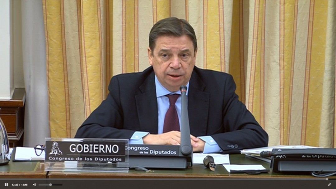 Agricultura pide una prórroga del almacenamiento del aceite de oliva
