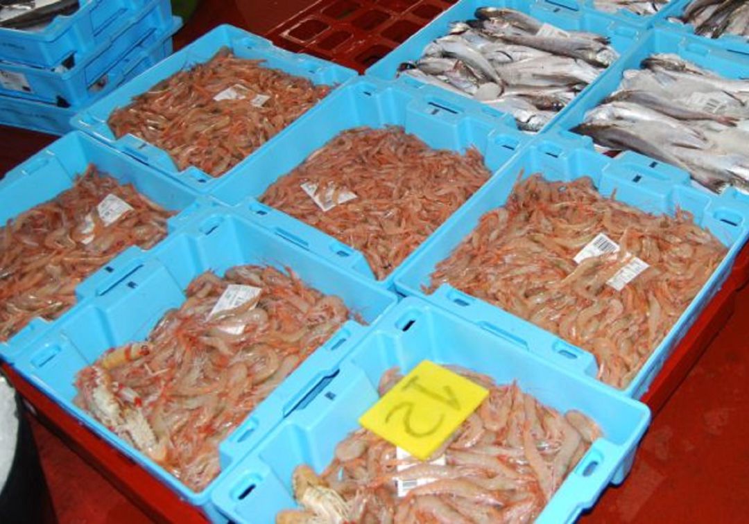 La Diputación promueve una campaña para promocionar los productos pesqueros de la Costa Tropical