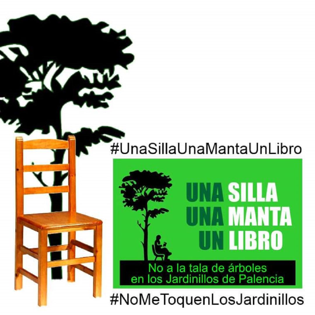 Sigue la lucha contra la tala de árboles en el parque de Jardinillos de Palencia Sigue la lucha contra la tala de árboles en el parque de Jardinillos de Palencia