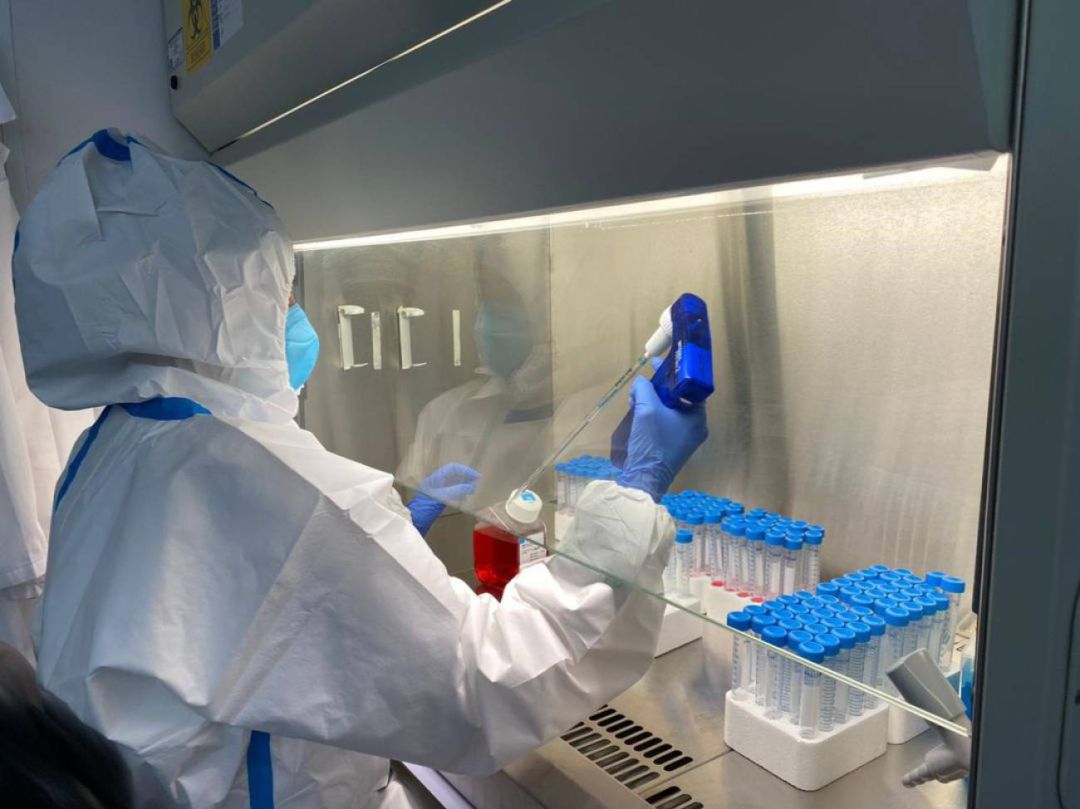 Una investigadora en un laboratorio Una investigadora en un laboratorio