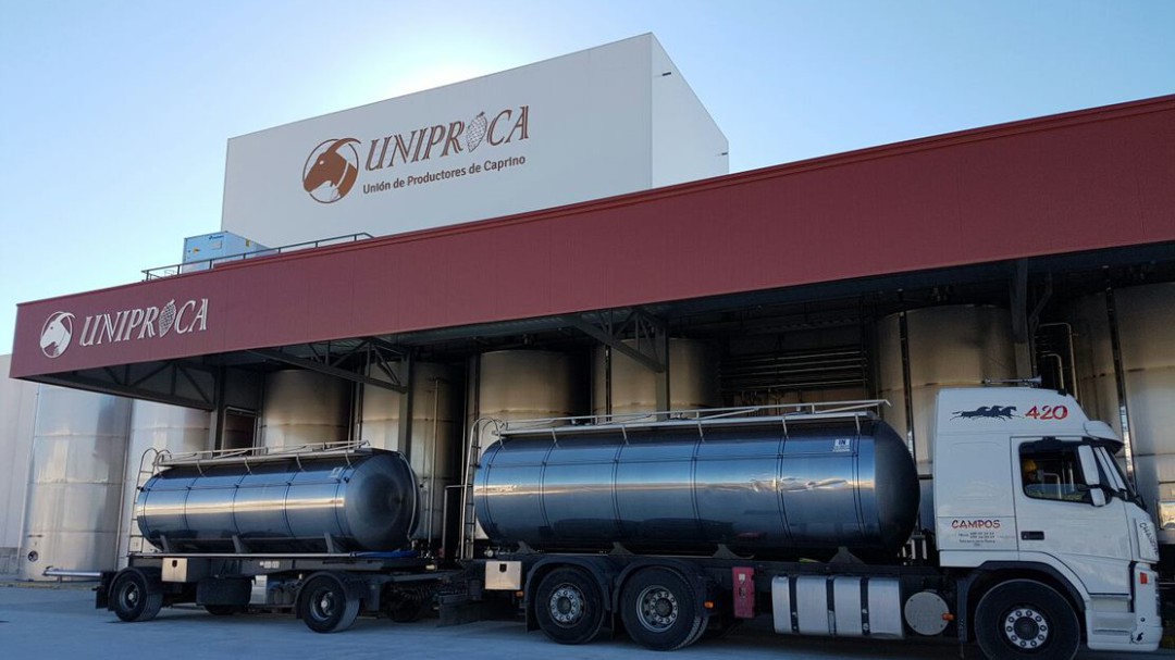Uniproca retoma la actividad exportadora a China de leche de cabra