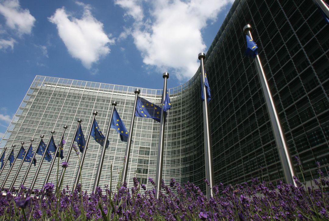 La Comisión Europea recurre la decisión del TGUE. La Comisión Europea recurre la decisión del TGUE.