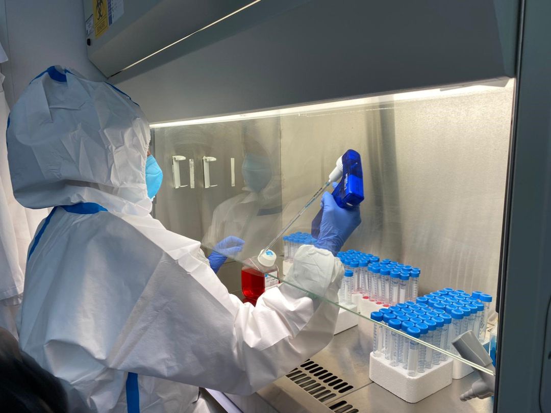 Una de las investigadoras del Laboratorio del ITACyL elaborando uno de los kits para pruebas PCR. Una de las investigadoras del Laboratorio del ITACyL elaborando uno de los kits para pruebas PCR.