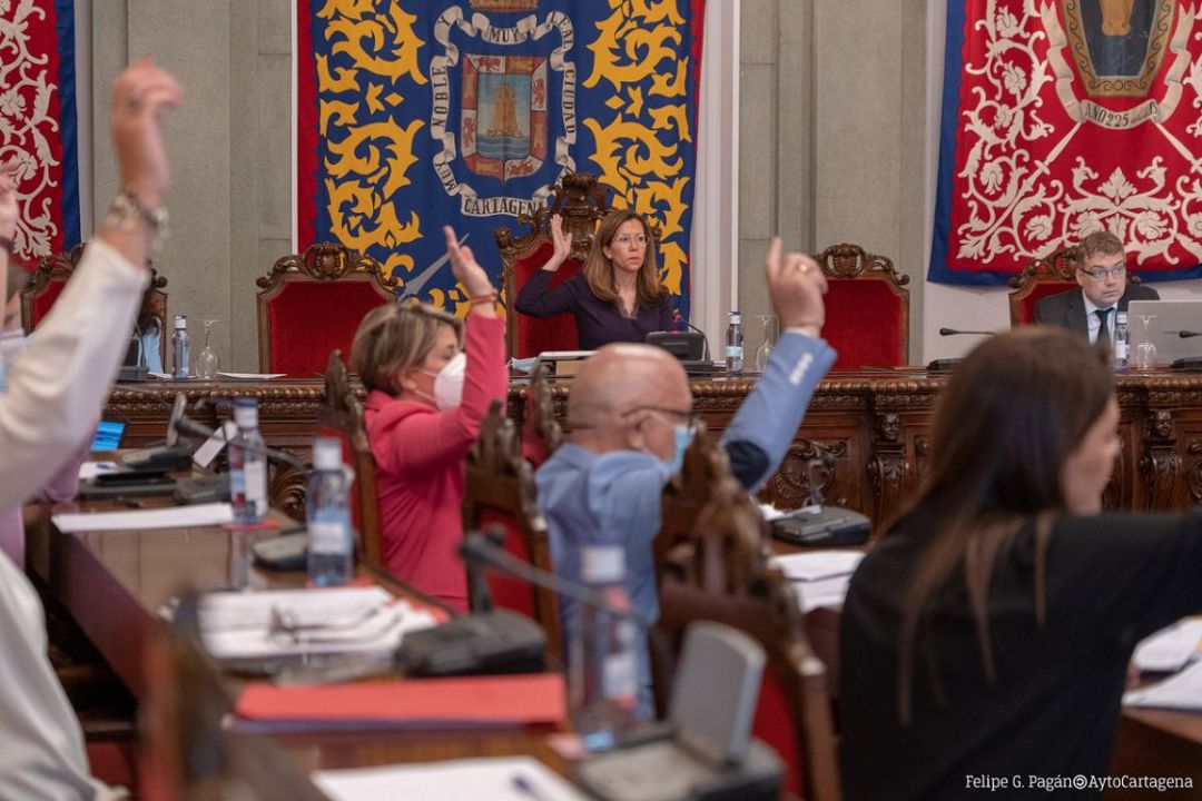 Pleno municipal Pleno municipal