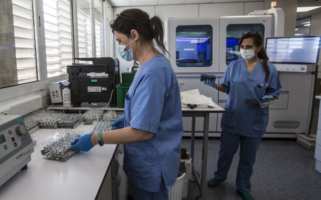 Laboratorio de microbiología de la red de hospitales de la Generalitat Valenciana Laboratorio de microbiología de la red de hospitales de la Generalitat Valenciana