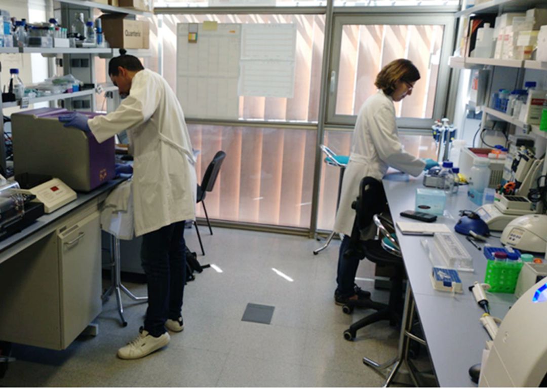 Dos de los trabajadores de los laboratorios de la biotecnológica Destina Genomics en plena labor en sus instalaciones del Parque Tecnológico de la Salud (PTS) de Granada Dos de los trabajadores de los laboratorios de la biotecnológica Destina Genomics en plena labor en sus instalaciones del Parque Tecnológico de la Salud (PTS) de Granada
