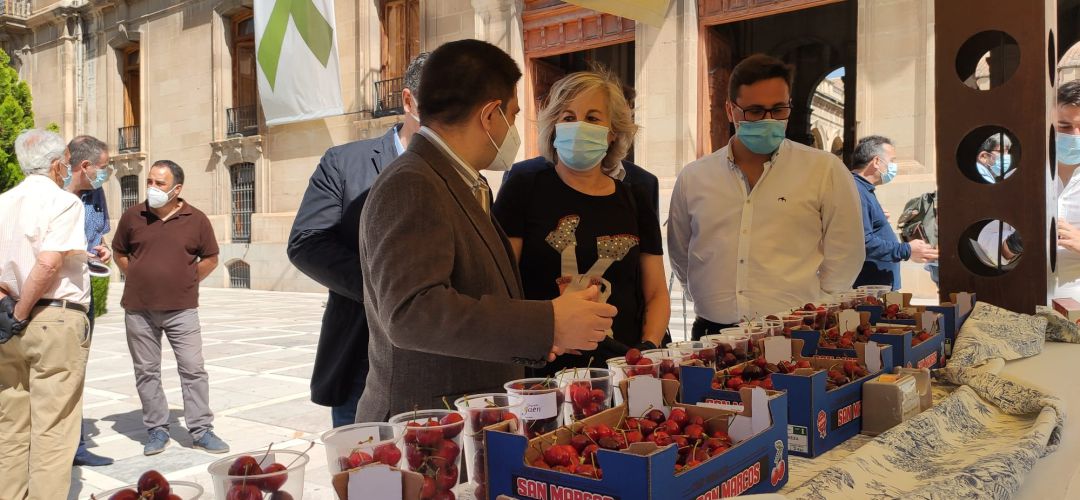 Presentación de la VIII Muestra de la Cereza en la lonja del Palacio Provincial. Presentación de la VIII Muestra de la Cereza en la lonja del Palacio Provincial.