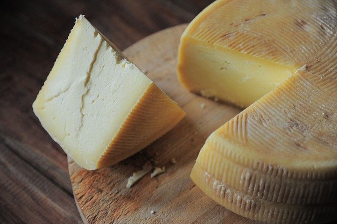 Queso artesanal Queso artesanal