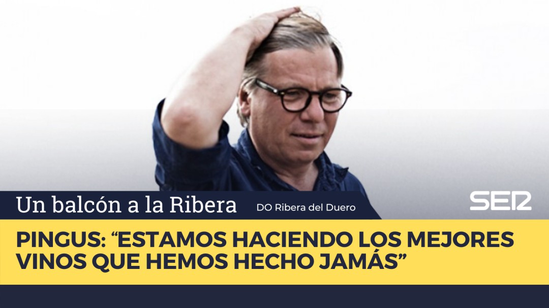 "Estamos haciendo los mejores vinos que hemos hecho jamás"