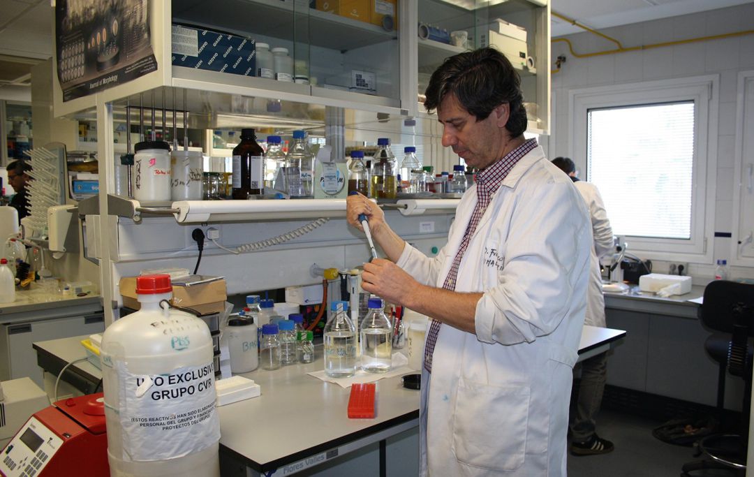 Un investigador de la Universidad de Jaén trabaja en su laboratorio. Un investigador de la Universidad de Jaén trabaja en su laboratorio.