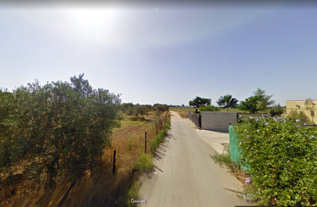 Acceso a la urbanización Los Granadillos, en Utrera Acceso a la urbanización Los Granadillos, en Utrera