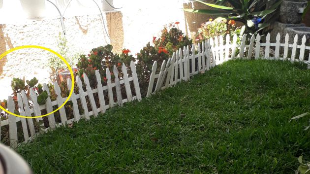 El gato estaba junto a la pared. El gato estaba junto a la pared.