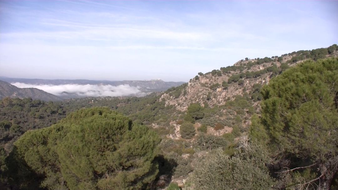Hasta el 15 de octubre está activada la alarma por alto riesgo de incendios en sierras y parques naturales. Hasta el 15 de octubre está activada la alarma por alto riesgo de incendios en sierras y parques naturales.