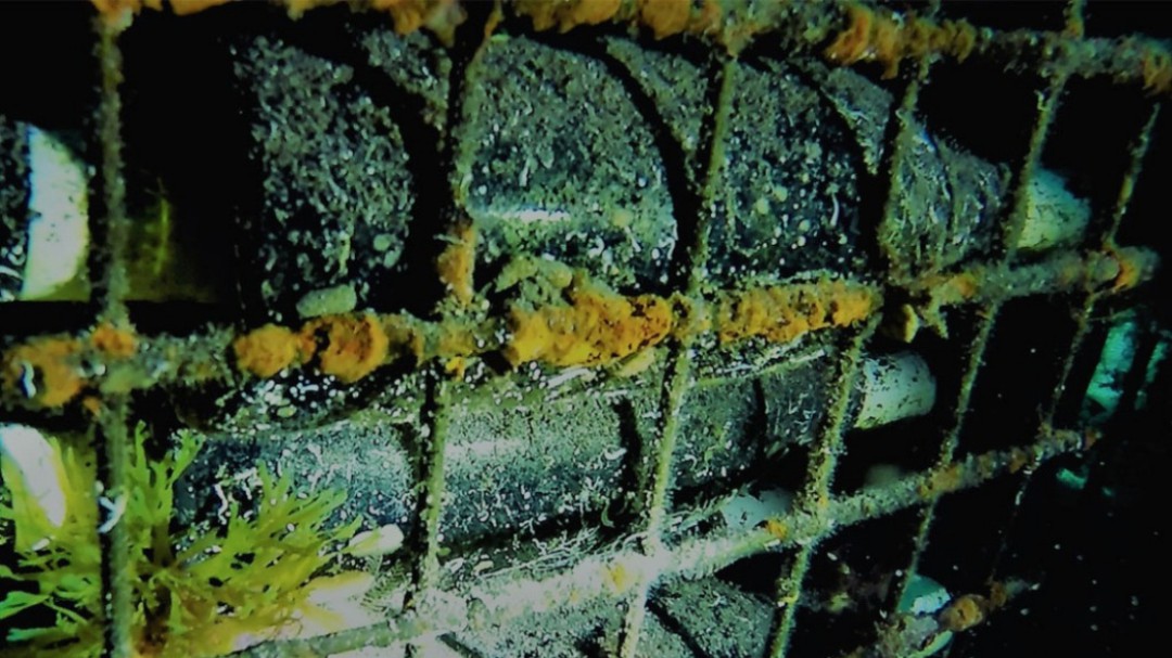 Bienvenidos al mundo del vino submarino