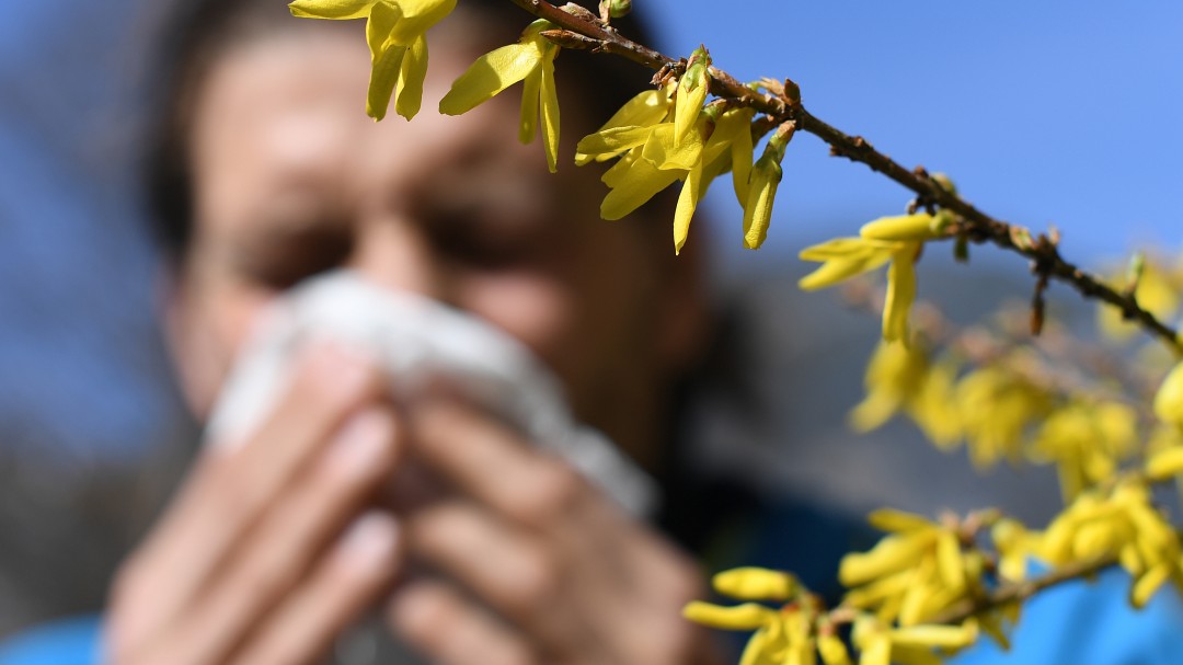 ¿Alergia o Coronavirus? Síntomas diferenciadores