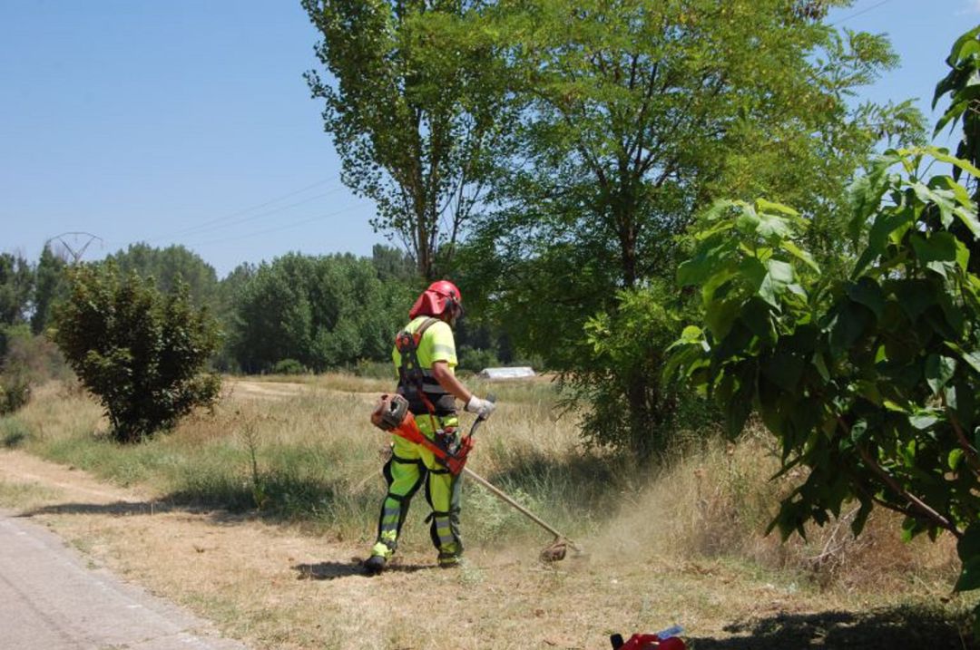 Se contratarán diez cuadrillas Se contratarán diez cuadrillas