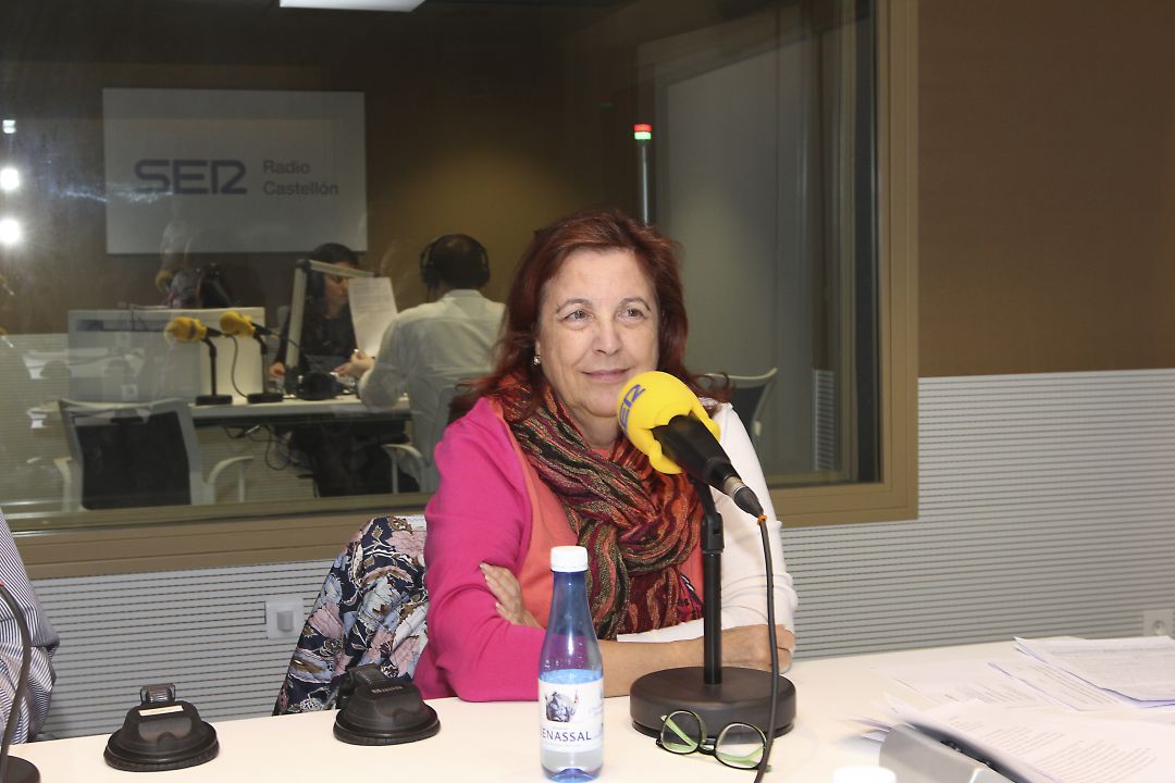 Imagen de la portavoz de Sanidad en Castellón de Comisiones Obreras, Encarna Barragán Imagen de la portavoz de Sanidad en Castellón de Comisiones Obreras, Encarna Barragán