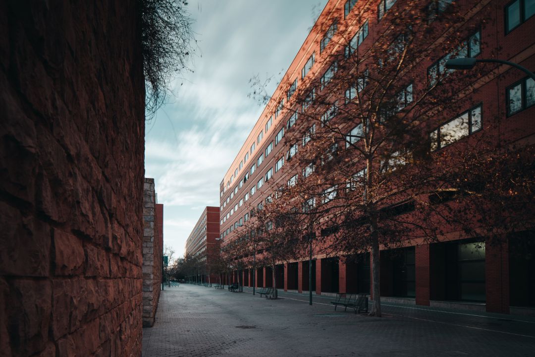 El campus de Tarongers de la Universitat de València en una imagen reciente El campus de Tarongers de la Universitat de València en una imagen reciente
