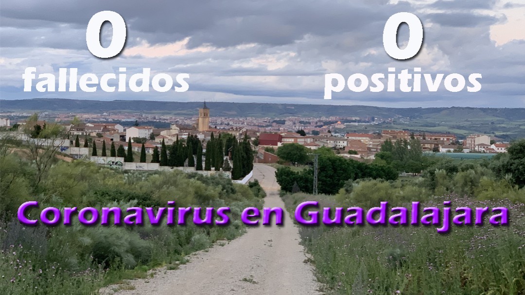 Coronavirus en Guadalajara: 0,0. Sin fallecidos y sin positivos este lunes