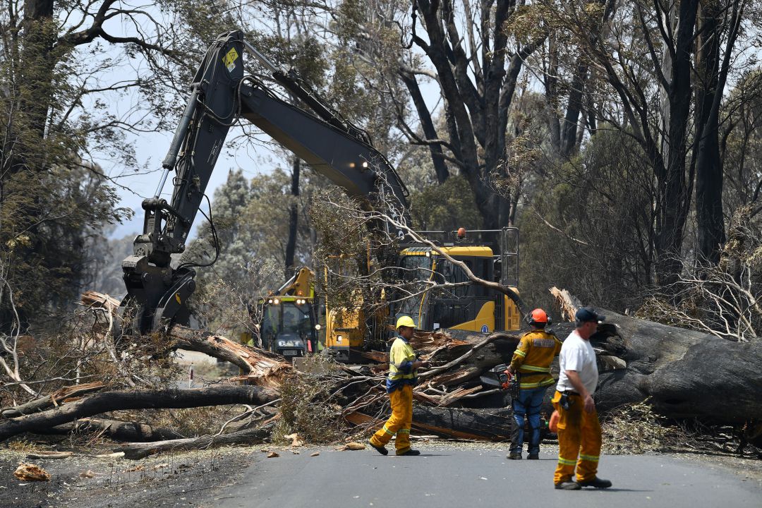 Imagen de archivo de las labores de retirada de árboles quemados en los incendios forestales de Australia de principios de año Imagen de archivo de las labores de retirada de árboles quemados en los incendios forestales de Australia de principios de año