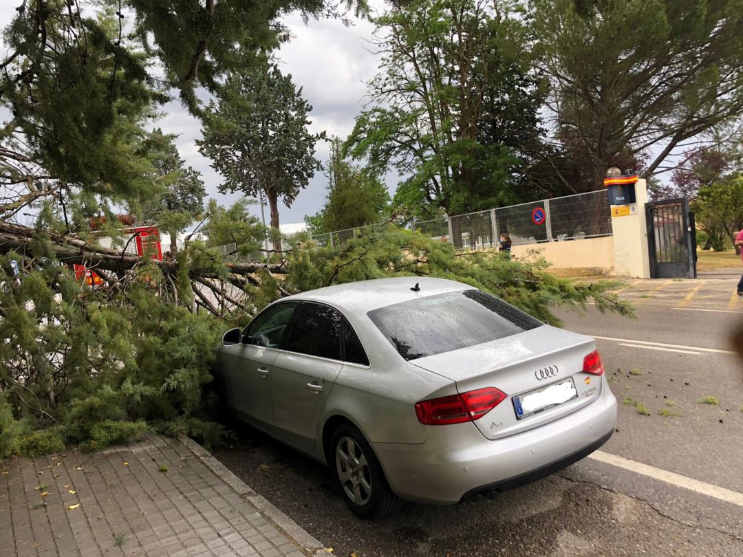 Una de las ramas de gran tamaño caía sobre un automóvil estacionado frente a la Comisaría de la Policía Nacional Una de las ramas de gran tamaño caía sobre un automóvil estacionado frente a la Comisaría de la Policía Nacional