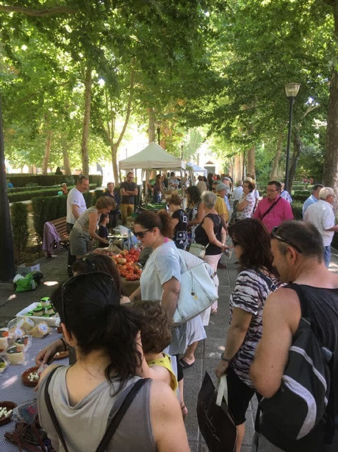 Mercado de productos de la comarca en el parque de Guadix. Mercado de productos de la comarca en el parque de Guadix.
