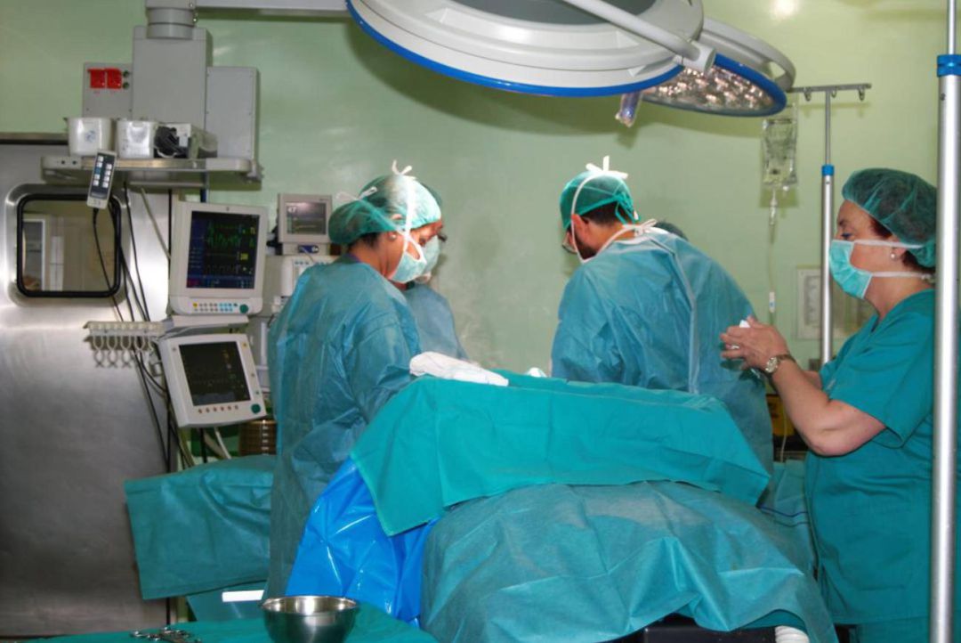 Imagen de una operación de transplante. Imagen de una operación de transplante.
