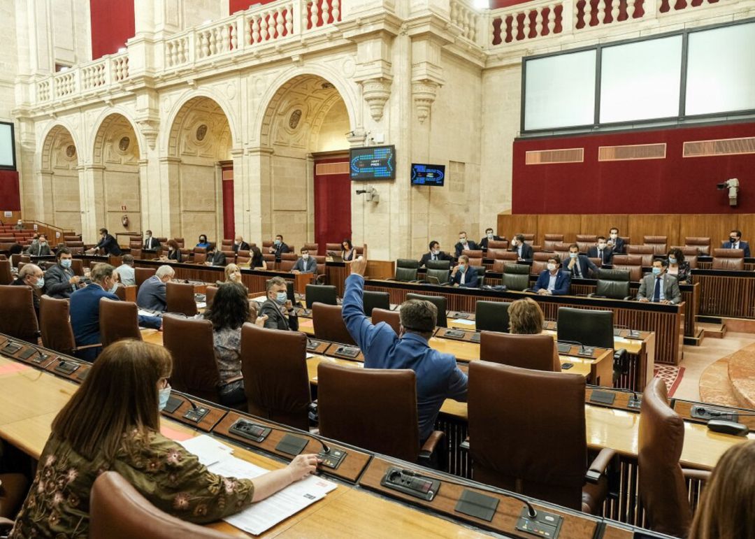 El pleno de la cámara vota la proposición de Ley de Adelante Andalucía sobre bioclimatización de los colegios El pleno de la cámara vota la proposición de Ley de Adelante Andalucía sobre bioclimatización de los colegios