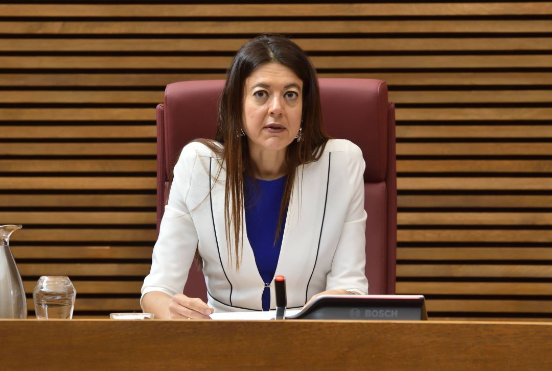 La consellera de Universidades Carolina Pascual en su comparecencia de este miércoles en les Corts La consellera de Universidades Carolina Pascual en su comparecencia de este miércoles en les Corts