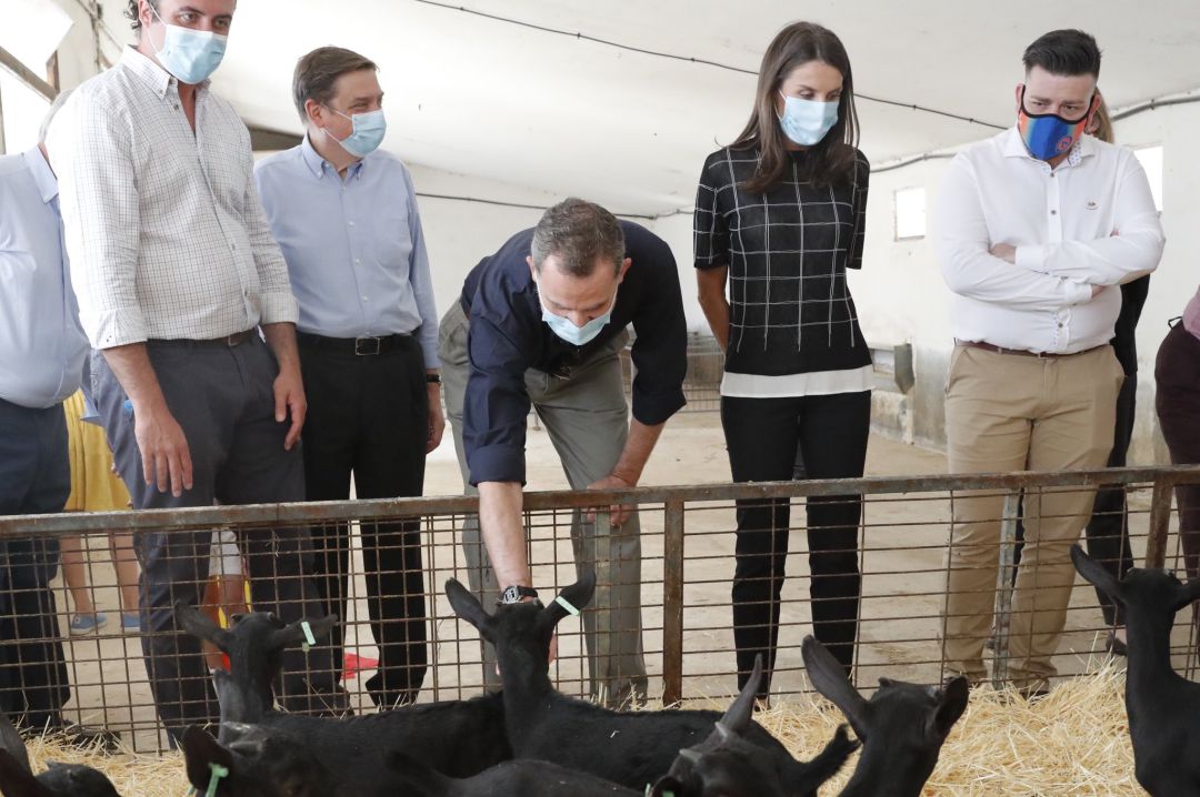 Felipe VI y la reina Letizia durante un momento de la visita junto a los responsables de la explotación (i) y autoridades como el alcalde de San Martín de la Vega (d). Felipe VI y la reina Letizia durante un momento de la visita junto a los responsables de la explotación (i) y autoridades como el alcalde de San Martín de la Vega (d).