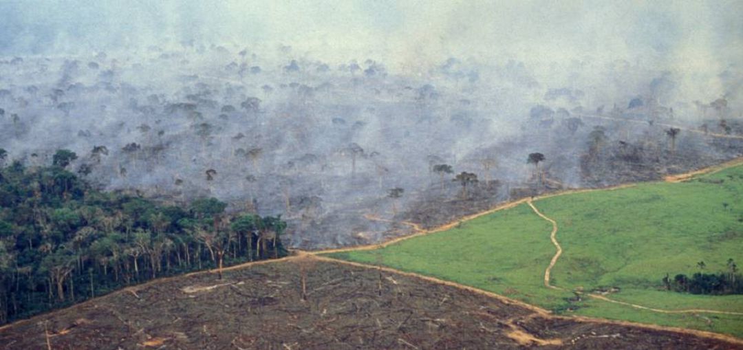 Biodiversidad Biodiversidad