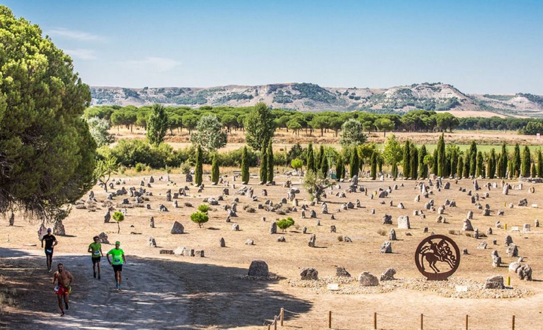 La necrópolis de Las Ruedas de Pintia está totalmente integrada en la actualidad como puede observarse en este paso de la prueba deportiva 'Ribera Run Experience' por el yacimiento. La necrópolis de Las Ruedas de Pintia está totalmente integrada en la actualidad como puede observarse en este paso de la prueba deportiva 'Ribera Run Experience' por el yacimiento.
