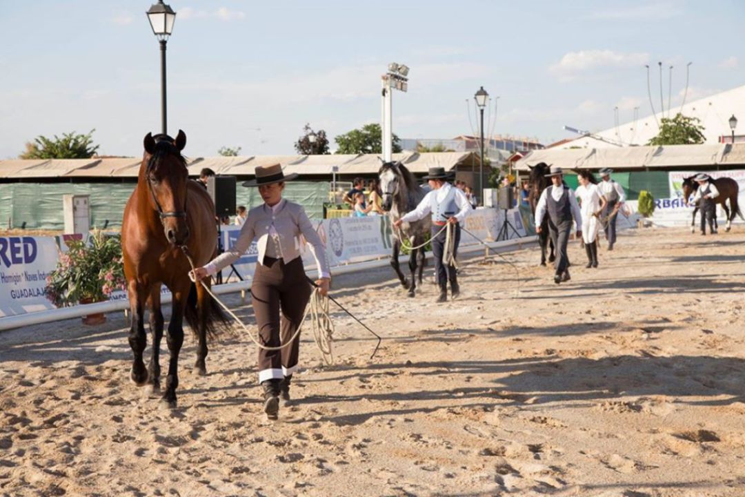 Feria del Caballo de Yunquera de Henares Feria del Caballo de Yunquera de Henares