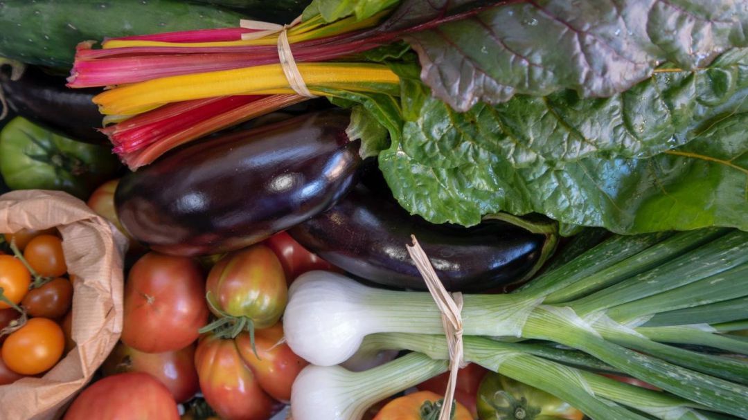 Alimentos vegetales
Alimentos vegetales