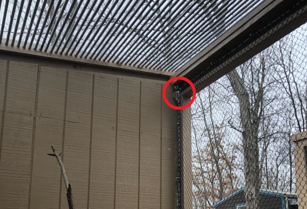 El búho estaba escondido en la zona superior. El búho estaba escondido en la zona superior.