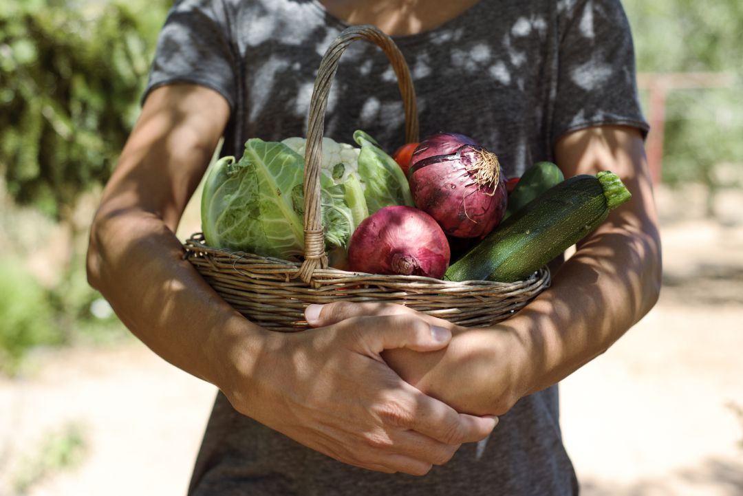 La agricultura ecológica agrupa a 3.700 operadores en la Región de Murcia La agricultura ecológica agrupa a 3.700 operadores en la Región de Murcia