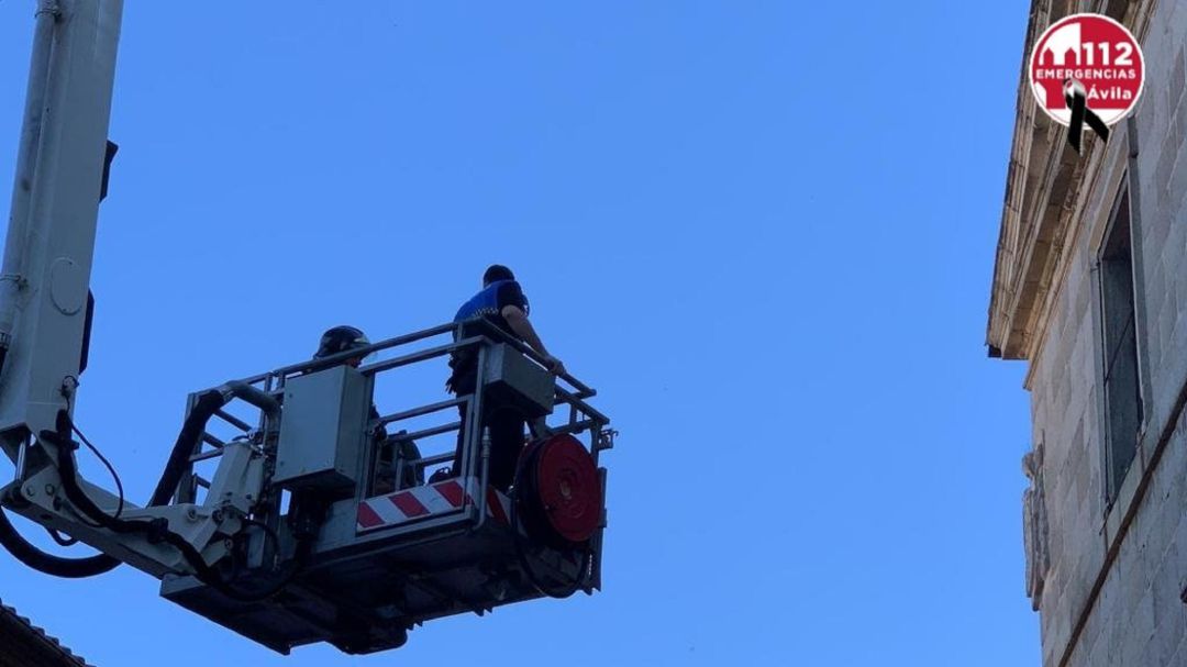 Bomberos, Policía Local y Protección Civil aseguraron la zona Bomberos, Policía Local y Protección Civil aseguraron la zona