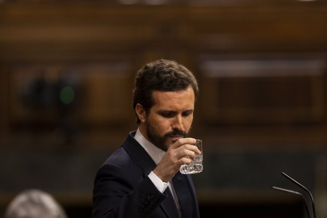 El presidente del Partido Popular, Pablo Casado, en el Congreso. El presidente del Partido Popular, Pablo Casado, en el Congreso.