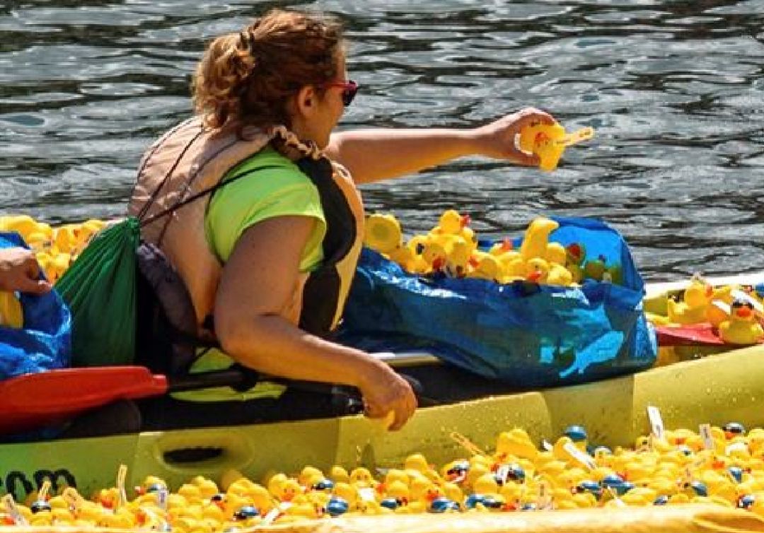 La Fundación pone a la venta boletos que corresponden a piñas de pino con geolocalizadores (en sustitución de los patos de goma) para celebrar una carrera popular por la ría de Bilbao. Los ganadores se llevan un premio, y el dinero se destina a la investigación de las enfermedades La Fundación pone a la venta boletos que corresponden a piñas de pino con geolocalizadores (en sustitución de los patos de goma) para celebrar una carrera popular por la ría de Bilbao. Los ganadores se llevan un premio, y el dinero se destina a la investigación de las enfermedades