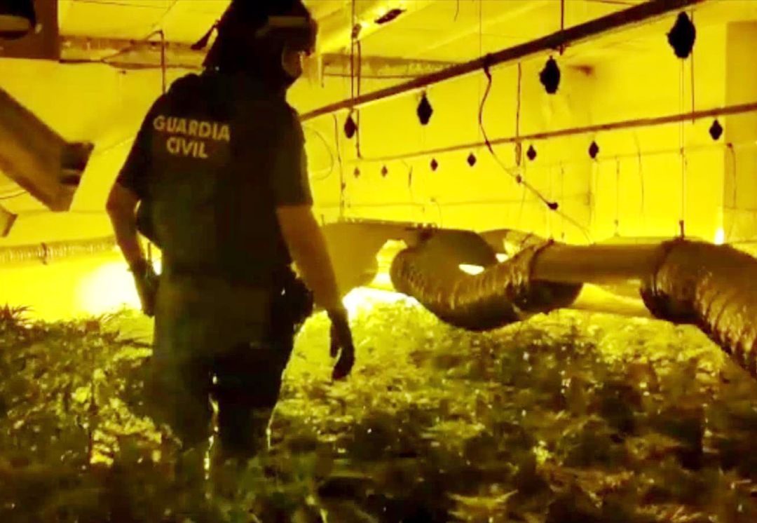 Uno agente descrubre uno de los semisótanos de viviendas de Las Gabias (Granada) donde se cultibaba droga Uno agente descrubre uno de los semisótanos de viviendas de Las Gabias (Granada) donde se cultibaba droga