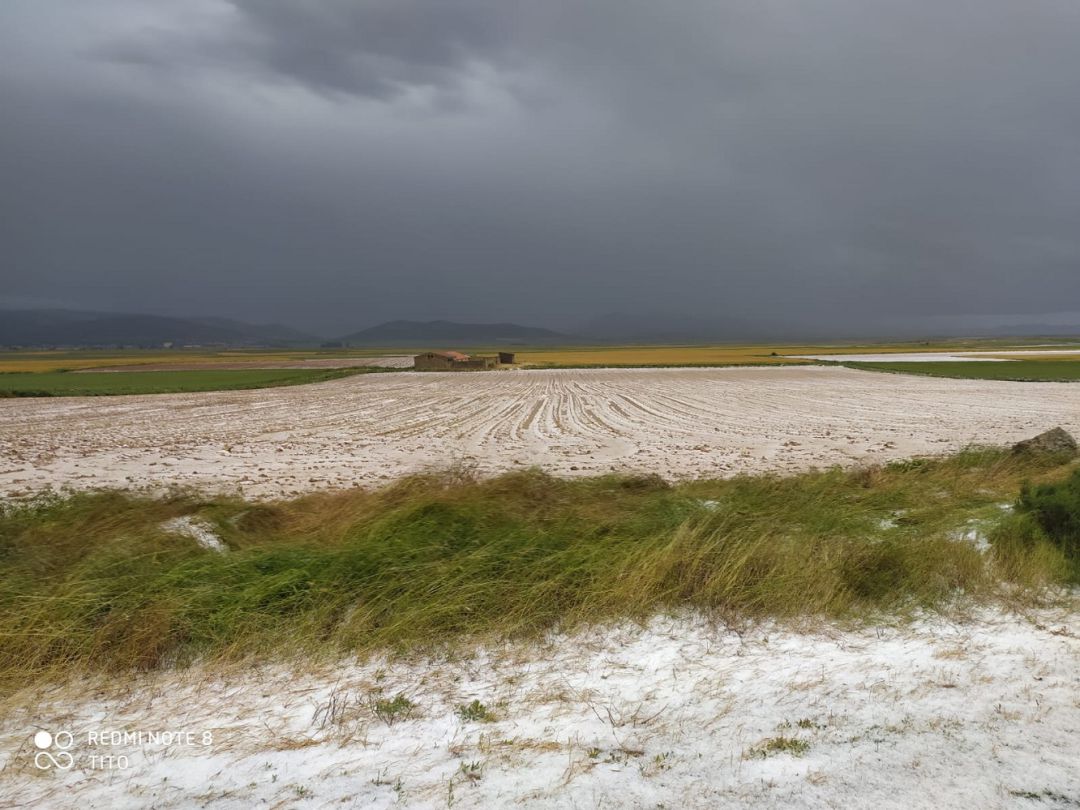 Así quedaron los campos de cereal en Used (Zaragoza) tras la tormenta de granizo Así quedaron los campos de cereal en Used (Zaragoza) tras la tormenta de granizo