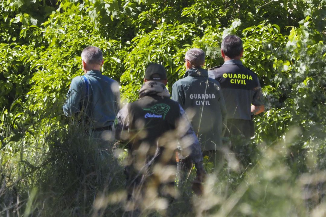 La Guardia Civil busca al cocodrilo en las inmediaciones del río Pisuerga en su desembocadura con el Duero La Guardia Civil busca al cocodrilo en las inmediaciones del río Pisuerga en su desembocadura con el Duero