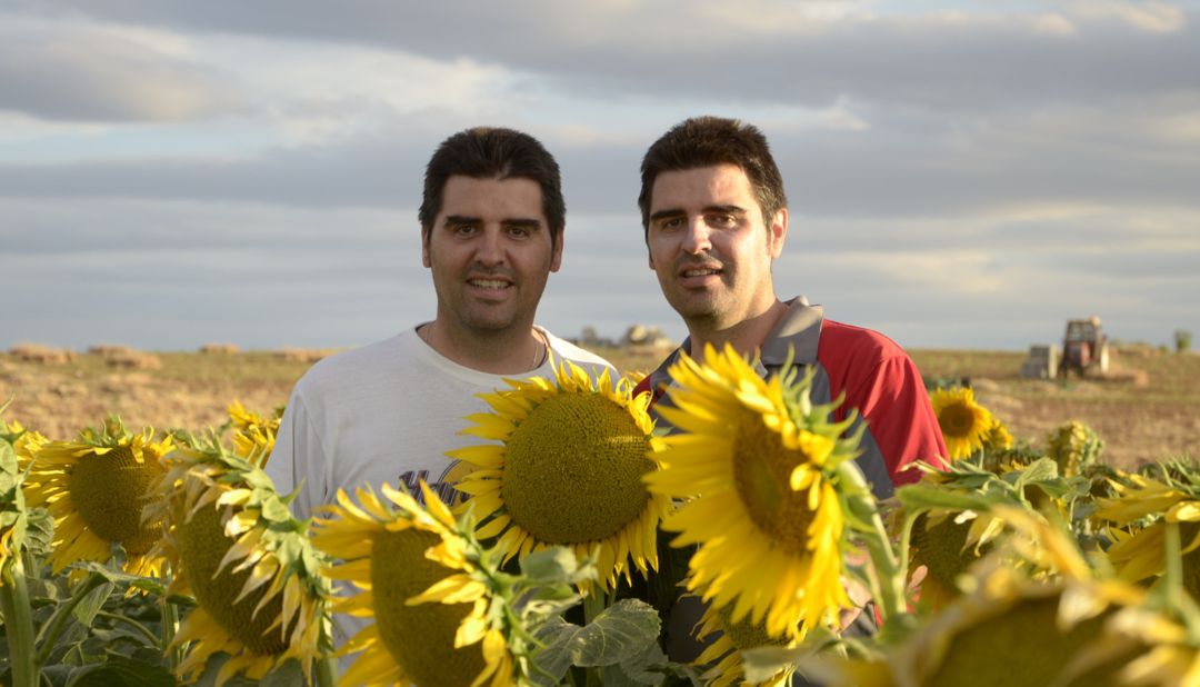 Los hermanos Joaquín y Herminio Tribaldos de La Alberca de Záncara (Cuenca). Los hermanos Joaquín y Herminio Tribaldos de La Alberca de Záncara (Cuenca).