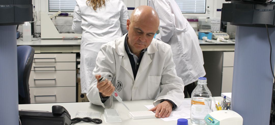 El catedrático de la UJA, José Juan Gaforio, trabaja en el laboratorio. El catedrático de la UJA, José Juan Gaforio, trabaja en el laboratorio.